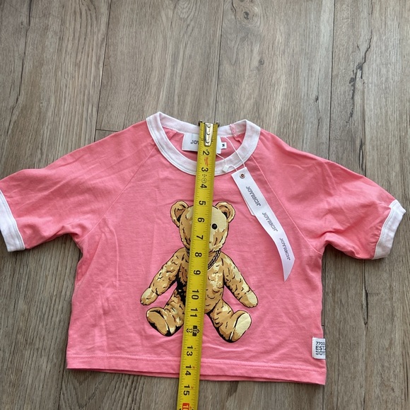 Joyrich Rock Teddy Pink Crop Top - Picture 6 of 9
